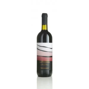 Cabernet Sauvignon Vino Rosso IGT Colli Trevigiani