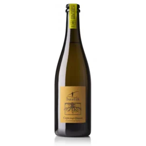 Capo degli Onesti Col Fondo Agricolo 2020 MAGNUM - Vino Bianco Frizzante Glera Igt Colli Trevigiani