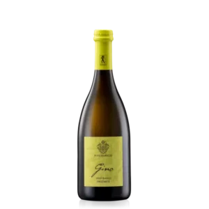 Rive del Bacio Gino - Vino Bianco Frizzante